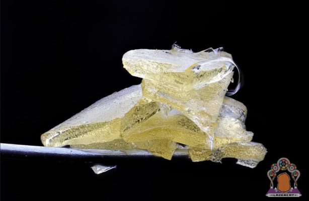 lazercat concentrates