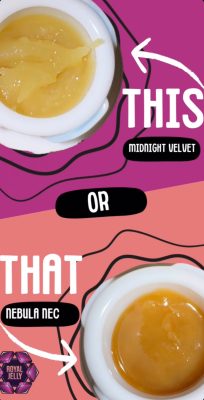 royal jelly live rosin badder