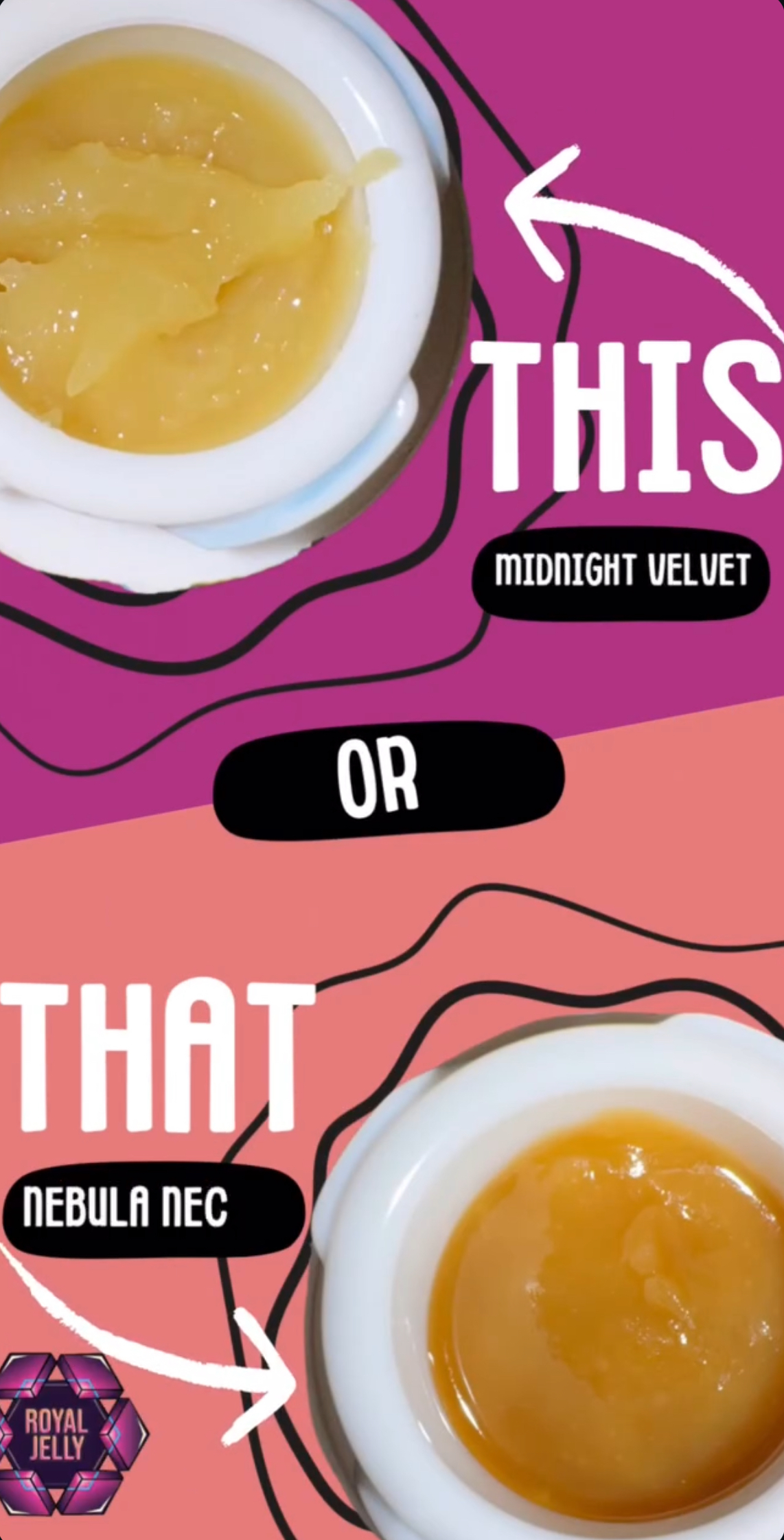 royal jelly live rosin badder